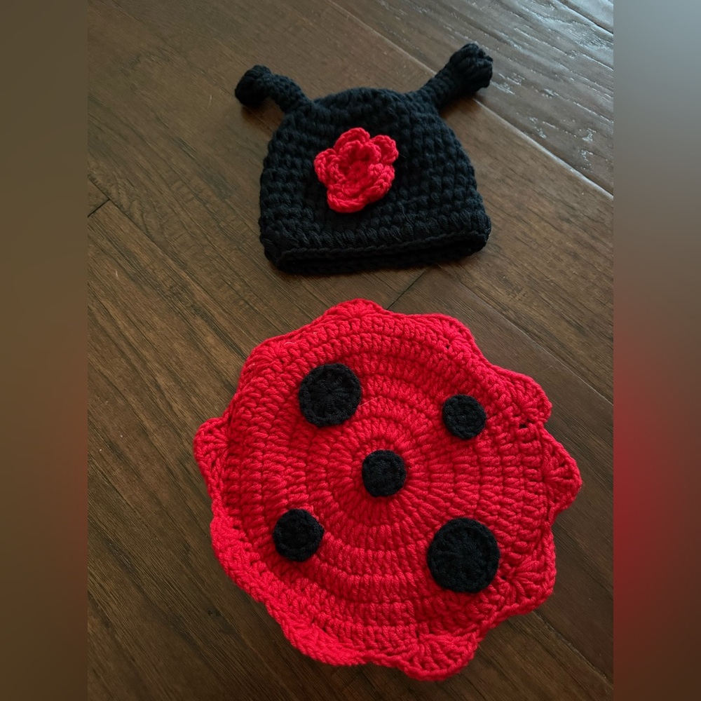 New Newborn Ladybug Photo Set